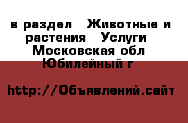  в раздел : Животные и растения » Услуги . Московская обл.,Юбилейный г.